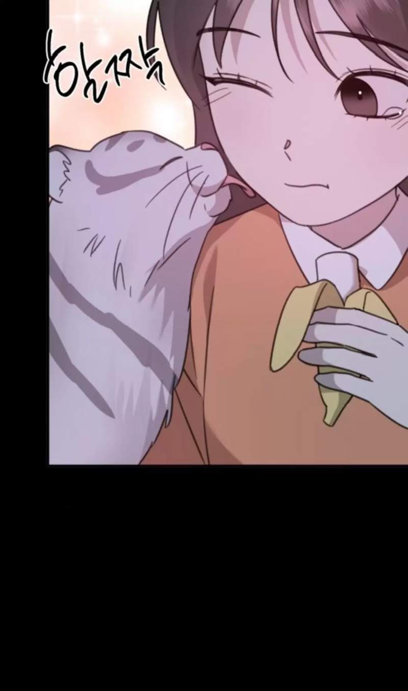 Tiểu Gia Chủ của Tứ Xuyên Đường Gia trở thành Kiếm Thần - Chapter 35 - Page 332