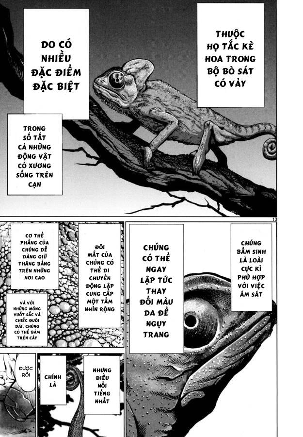 Killing Bites - Chapter 29 - Page 16