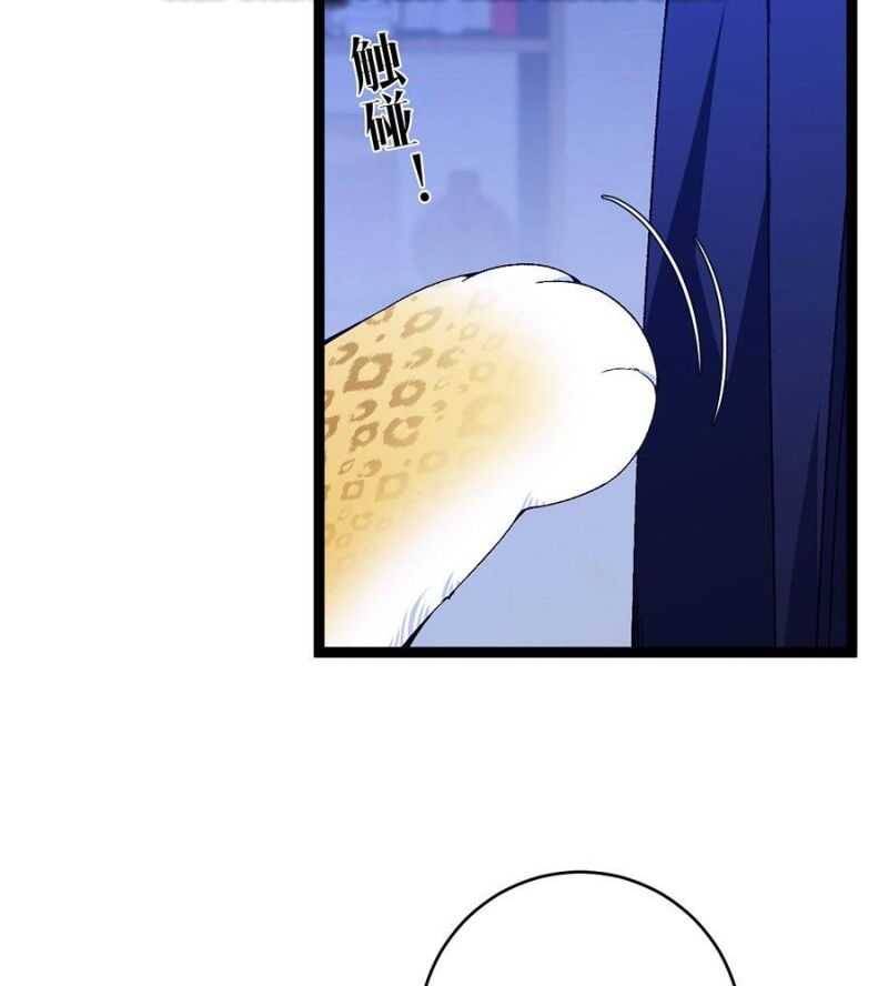 Thiên Phú Của Ngươi Giờ Là Của Ta - Chapter 85 - Page 75