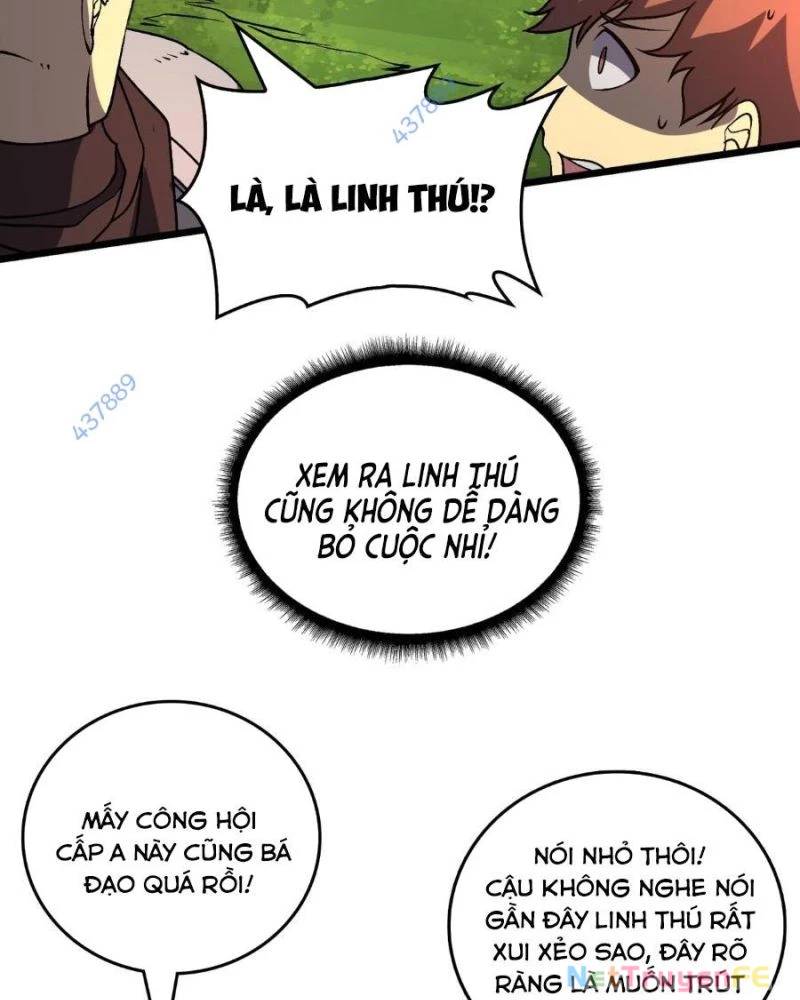 Bắt Đầu Kế Nhiệm Boss Hắc Long, Ta Vô Địch - Chapter 17 - Page 13