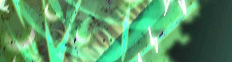 Dũng giả x nữ ma vương - Chapter 90 - Page 305