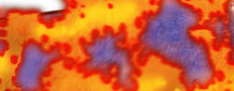 Trò chơi của thần - Chapter 5 - Page 227