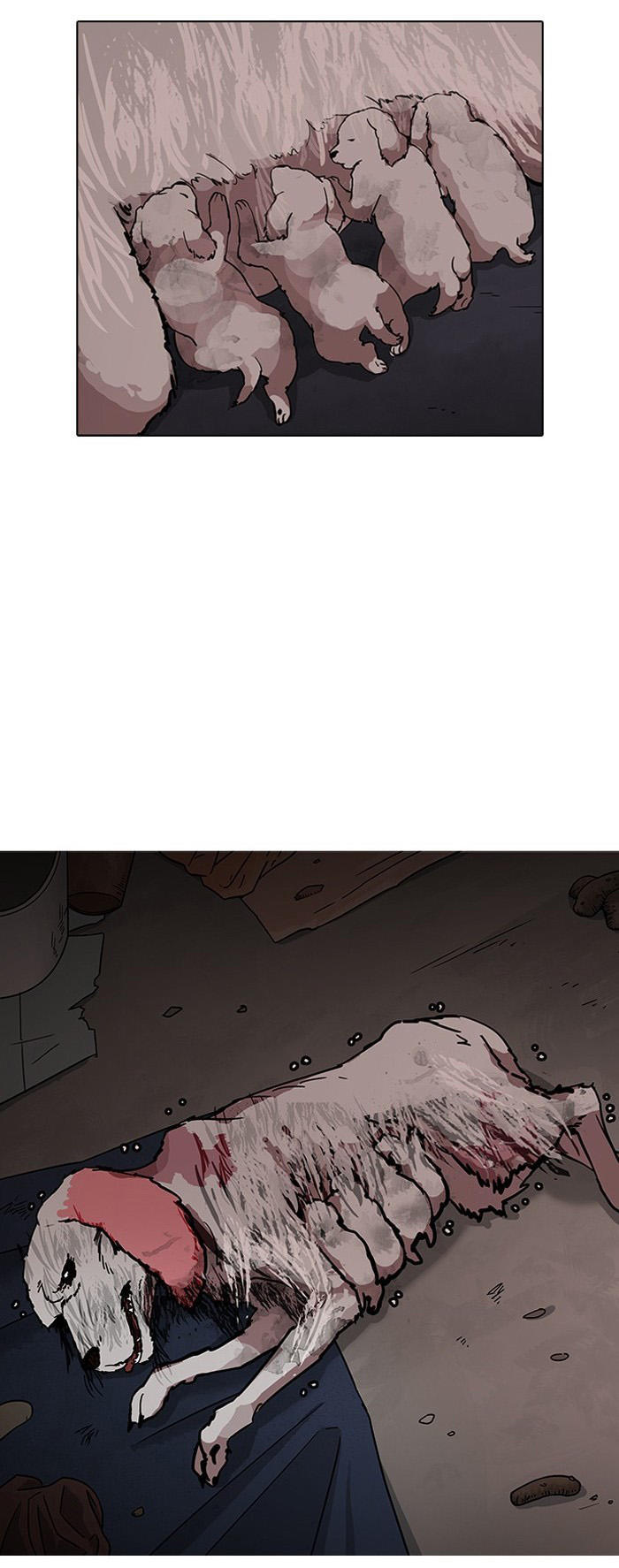 Hoán Đổi Diệu Kỳ Chapter 150 - Trang 19