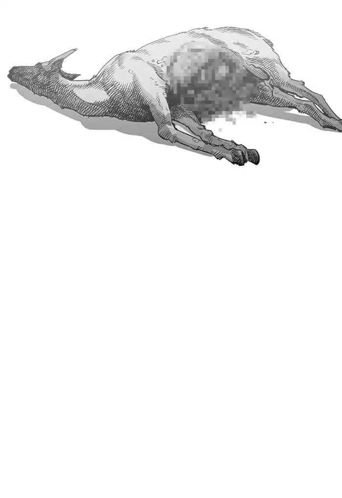 Hoán Đổi Diệu Kỳ Chapter 202 - Trang 29