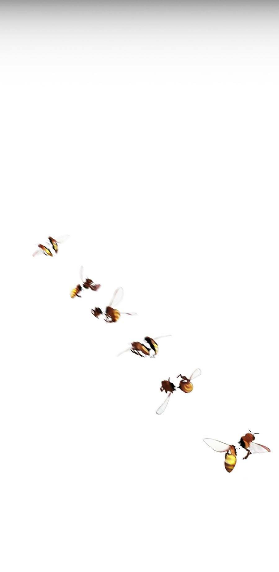 Hoán Đổi Diệu Kỳ Chapter 436 - Trang 101