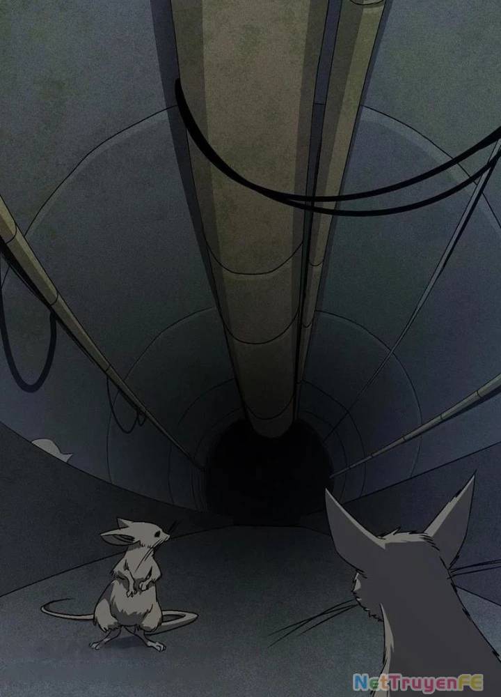 Ta Học Trảm Thần Trong Bệnh Viện Tâm Thần - Chapter 136 - Page 47