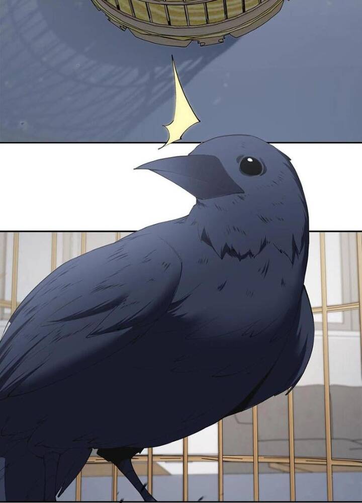 Ta Học Trảm Thần Trong Bệnh Viện Tâm Thần - Chapter 146 - Page 11