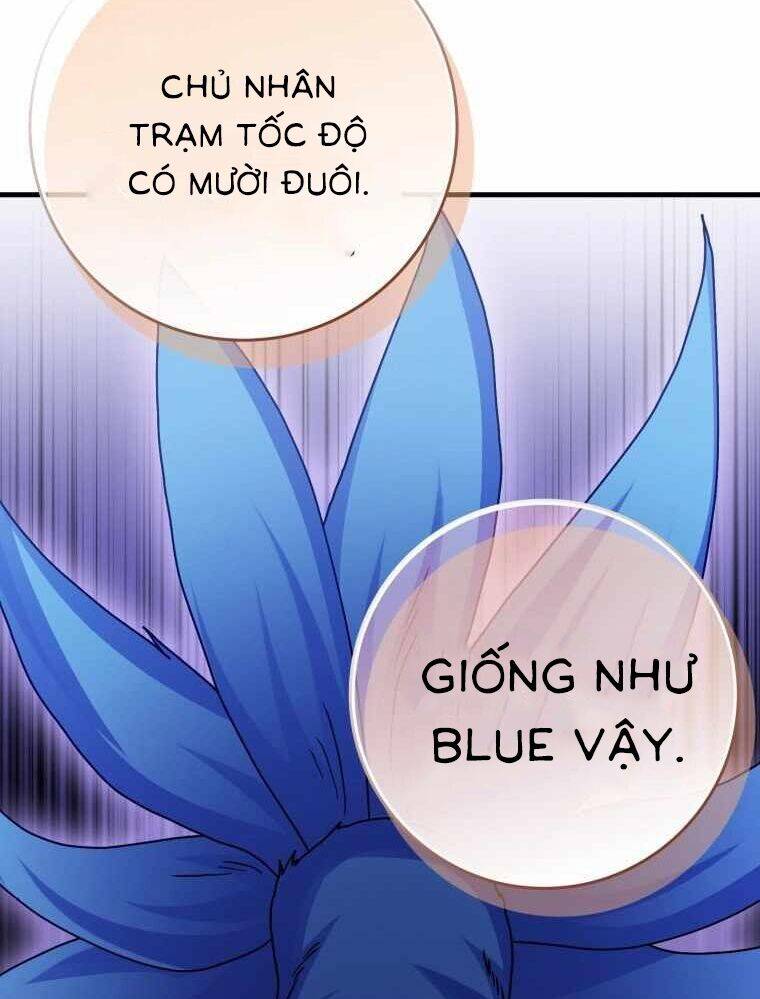 Thiên Tài Võ Thuật Hồi Quy - Chapter 33 - Page 50