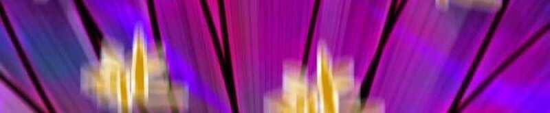 Dũng giả x nữ ma vương - Chapter 93 - Page 157