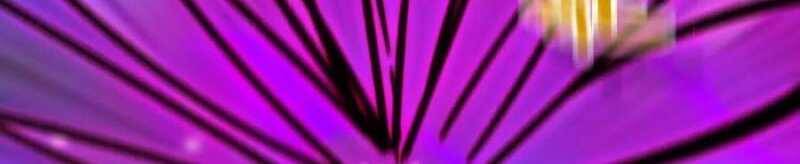 Dũng giả x nữ ma vương - Chapter 93 - Page 159