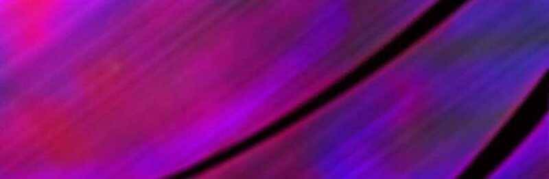 Dũng giả x nữ ma vương - Chapter 93 - Page 84