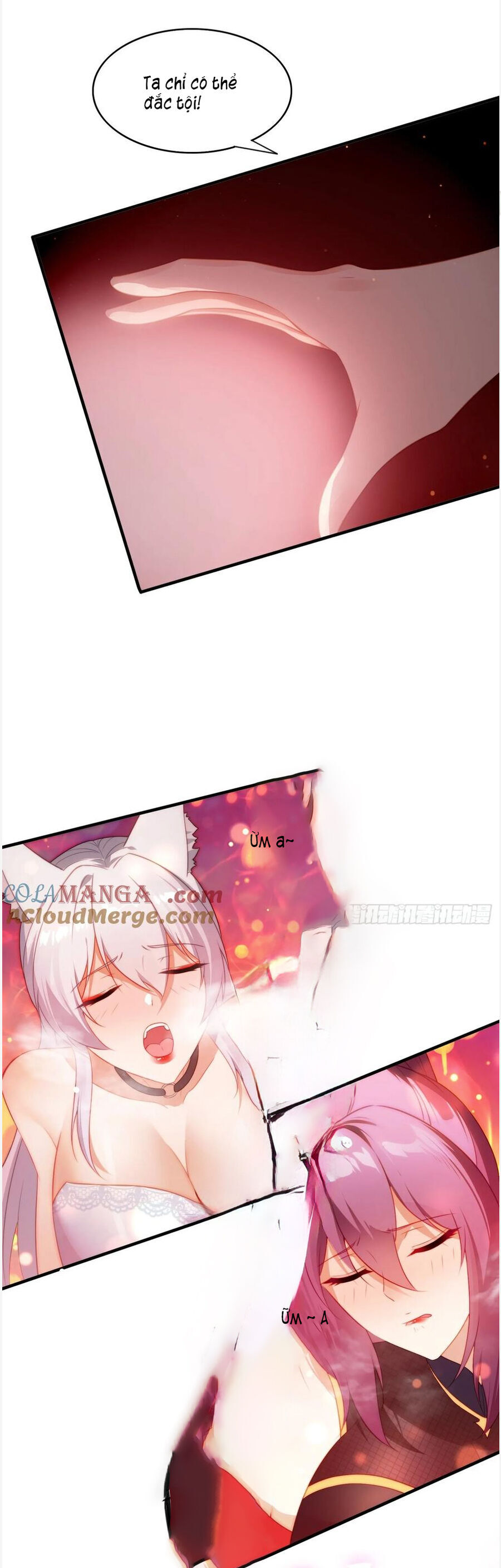 Đánh Dấu Chín Vạn Năm, Tiền Nhiệm Đạo Lữ Muốn Chém Chết Ta - Chapter 3 - Page 10