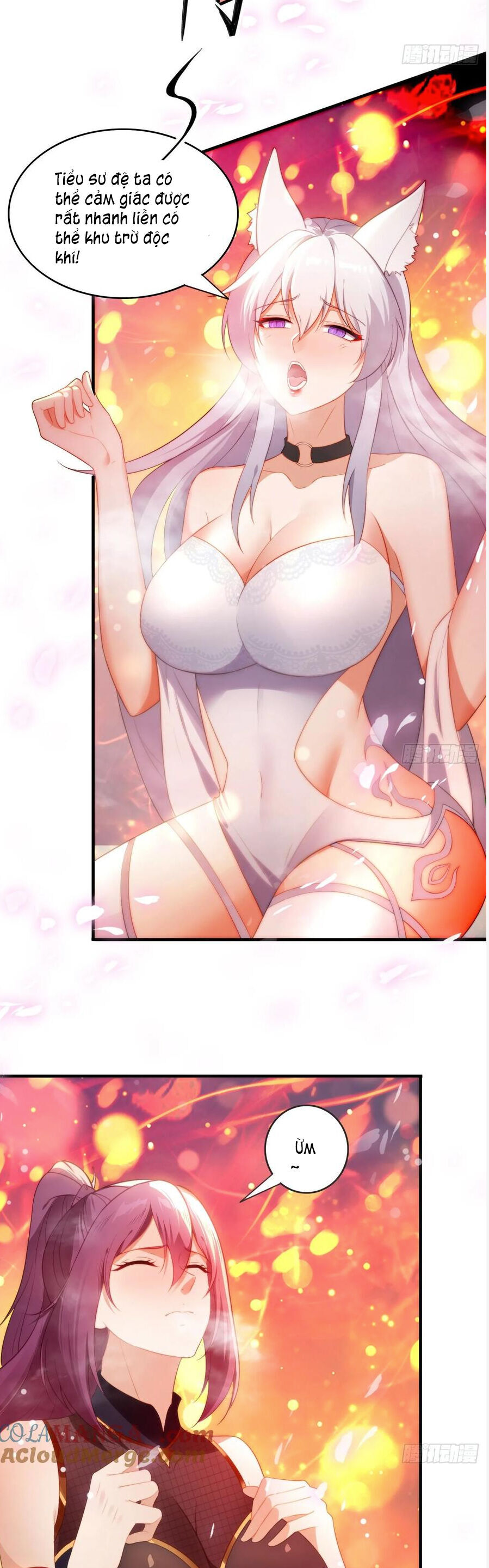 Đánh Dấu Chín Vạn Năm, Tiền Nhiệm Đạo Lữ Muốn Chém Chết Ta - Chapter 3 - Page 11