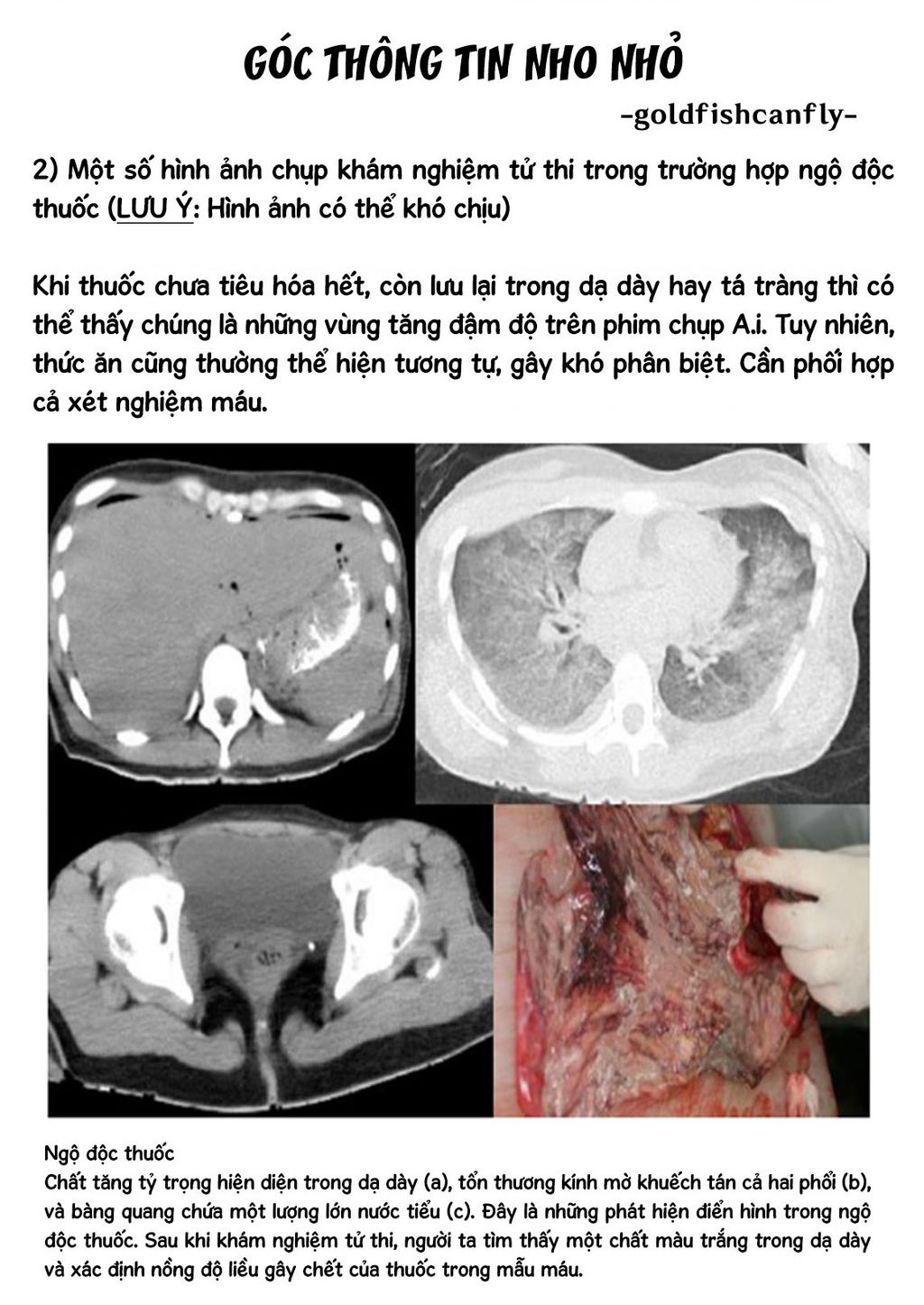 Radiation House - Chapter 104 - Page 26