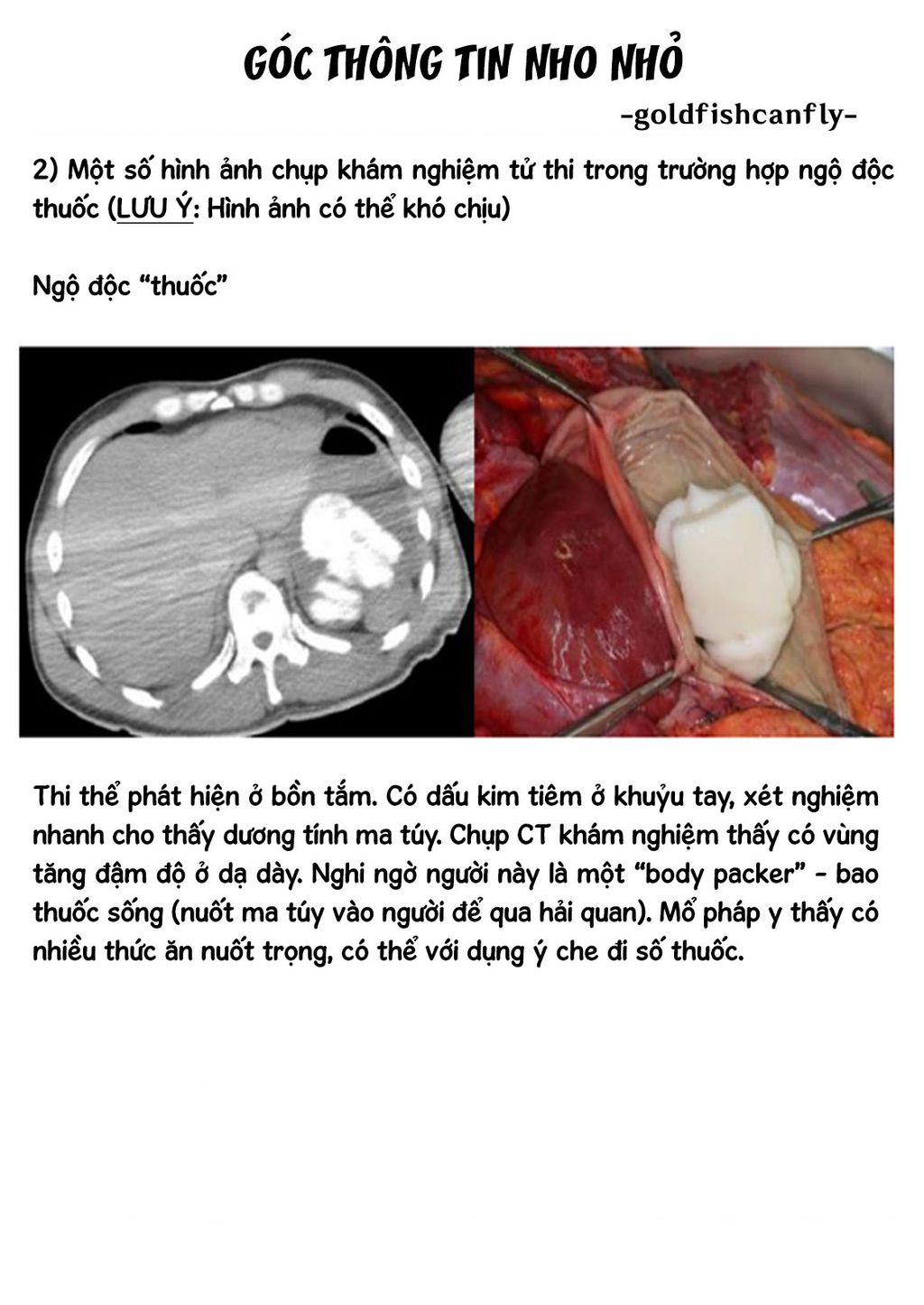 Radiation House - Chapter 104 - Page 27