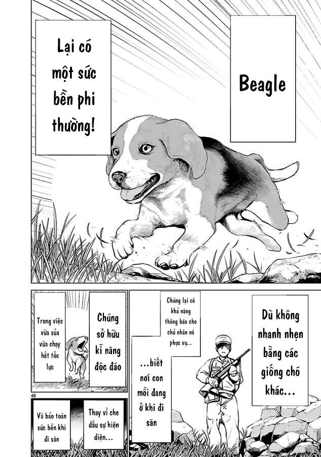 Killing Bites - Chapter 34 - Page 51