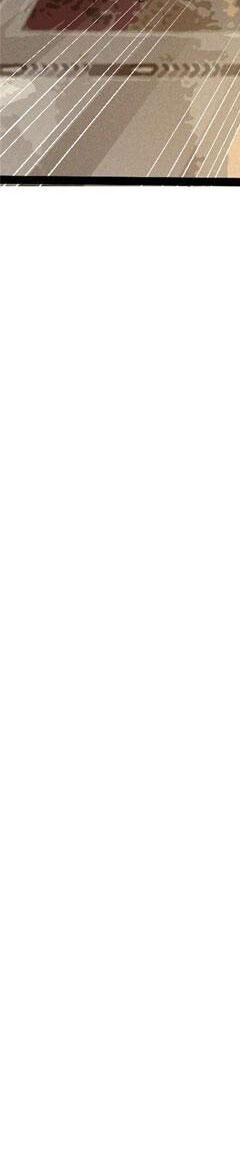 Ta Thật Không Muốn Học Cấm Chú - Chapter 16 - Page 218