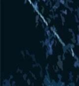 Ta Thật Không Muốn Học Cấm Chú - Chapter 21 - Page 185