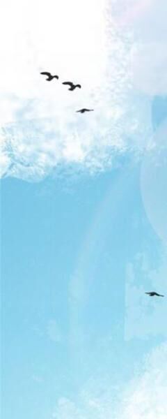 Ta Thật Không Muốn Học Cấm Chú - Chapter 23 - Page 17