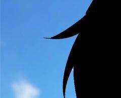 Ta Thật Không Muốn Học Cấm Chú - Chapter 8 - Page 323