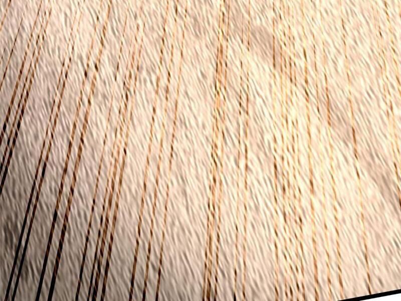 Ta Thật Không Muốn Học Cấm Chú - Chapter 9 - Page 221