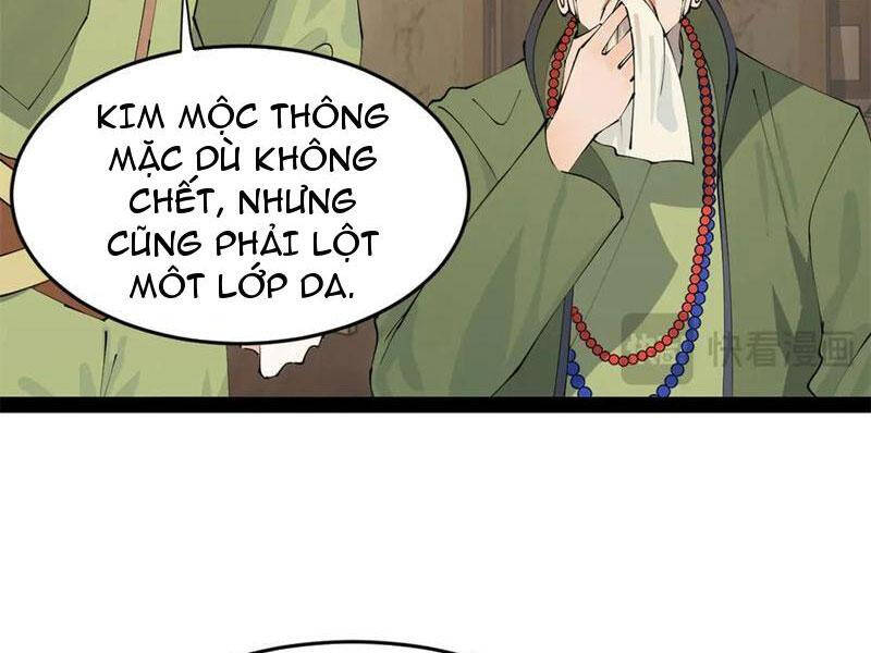 Chàng Rể Mạnh Nhất Lịch Sử - Chapter 198 - Page 29