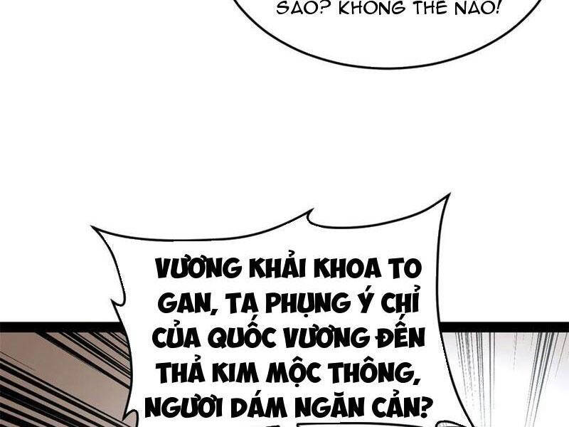Chàng Rể Mạnh Nhất Lịch Sử - Chapter 204 - Page 10