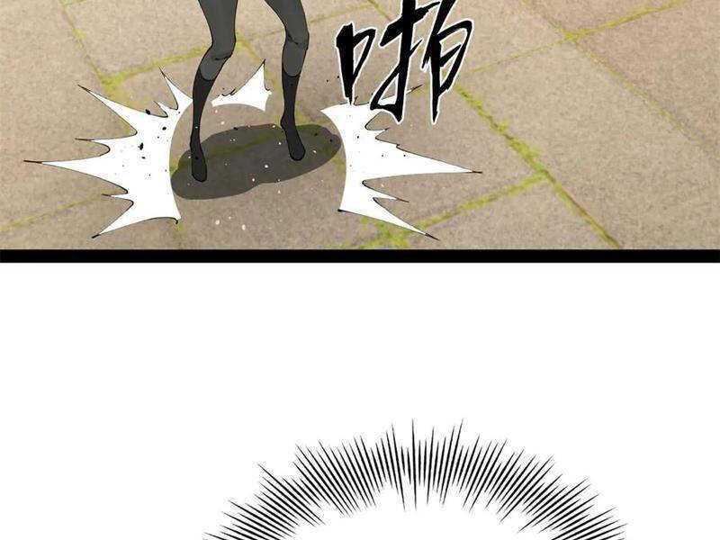 Chàng Rể Mạnh Nhất Lịch Sử - Chapter 206 - Page 13