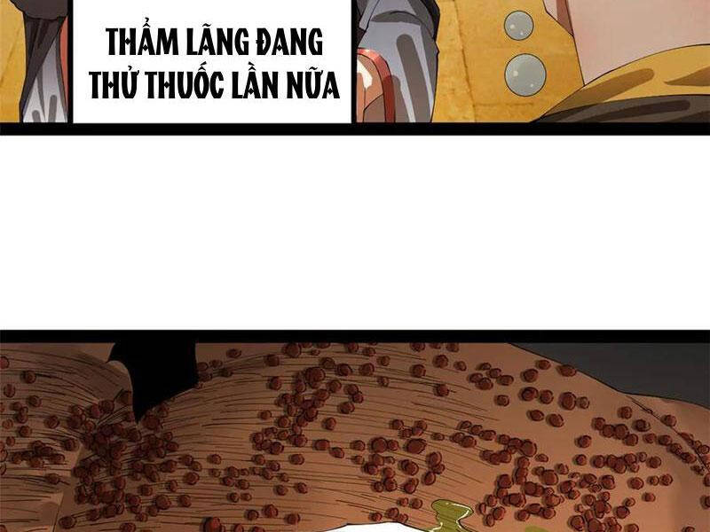 Chàng Rể Mạnh Nhất Lịch Sử - Chapter 216 - Page 17