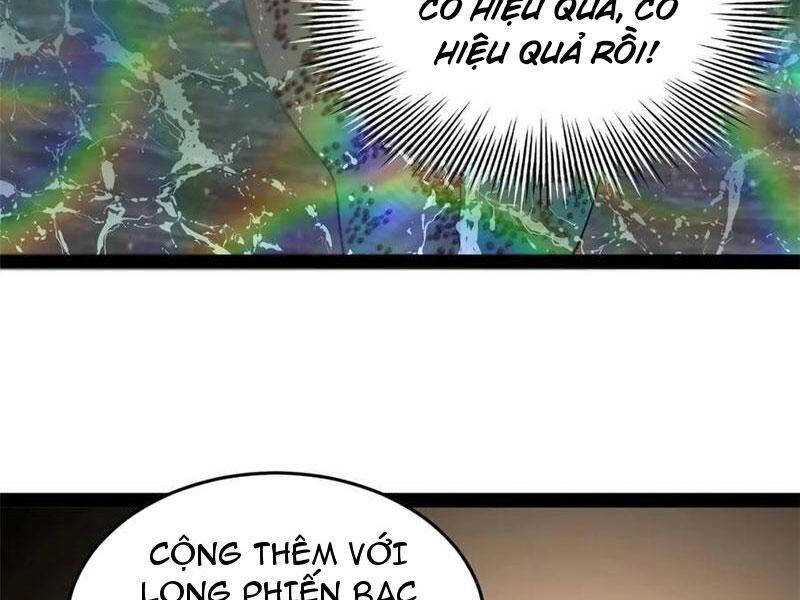 Chàng Rể Mạnh Nhất Lịch Sử - Chapter 216 - Page 24