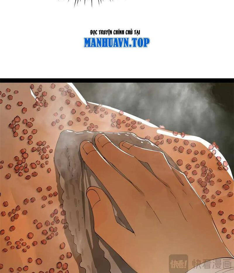 Chàng Rể Mạnh Nhất Lịch Sử - Chapter 218 - Page 30