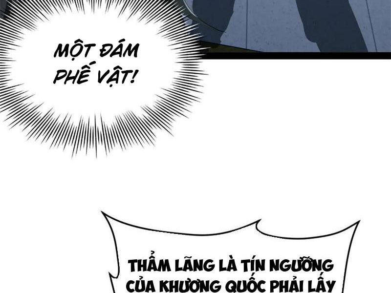 Chàng Rể Mạnh Nhất Lịch Sử - Chapter 224 - Page 11