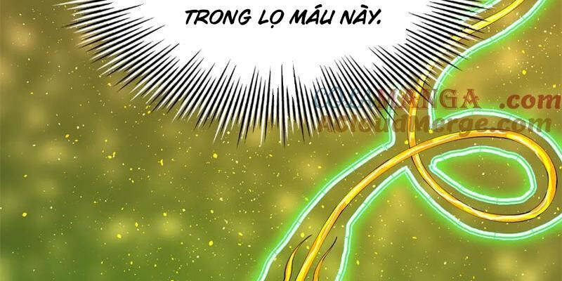 Chàng Rể Mạnh Nhất Lịch Sử - Chapter 225 - Page 125