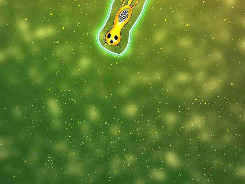 Chàng Rể Mạnh Nhất Lịch Sử - Chapter 225 - Page 126