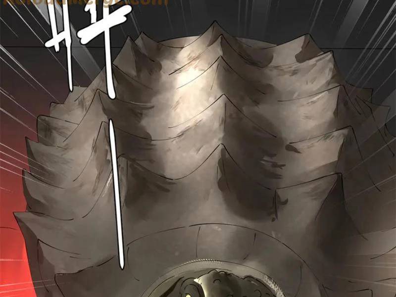 Chàng Rể Mạnh Nhất Lịch Sử - Chapter 232 - Page 3