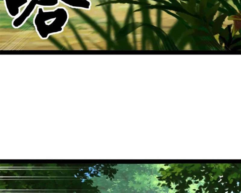 Chàng Rể Mạnh Nhất Lịch Sử - Chapter 233 - Page 17