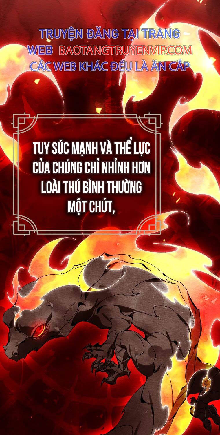 Trở Thành Thiên Tài Tốc Biến Của Học Viện Ma Pháp - Chapter 31 - Page 17