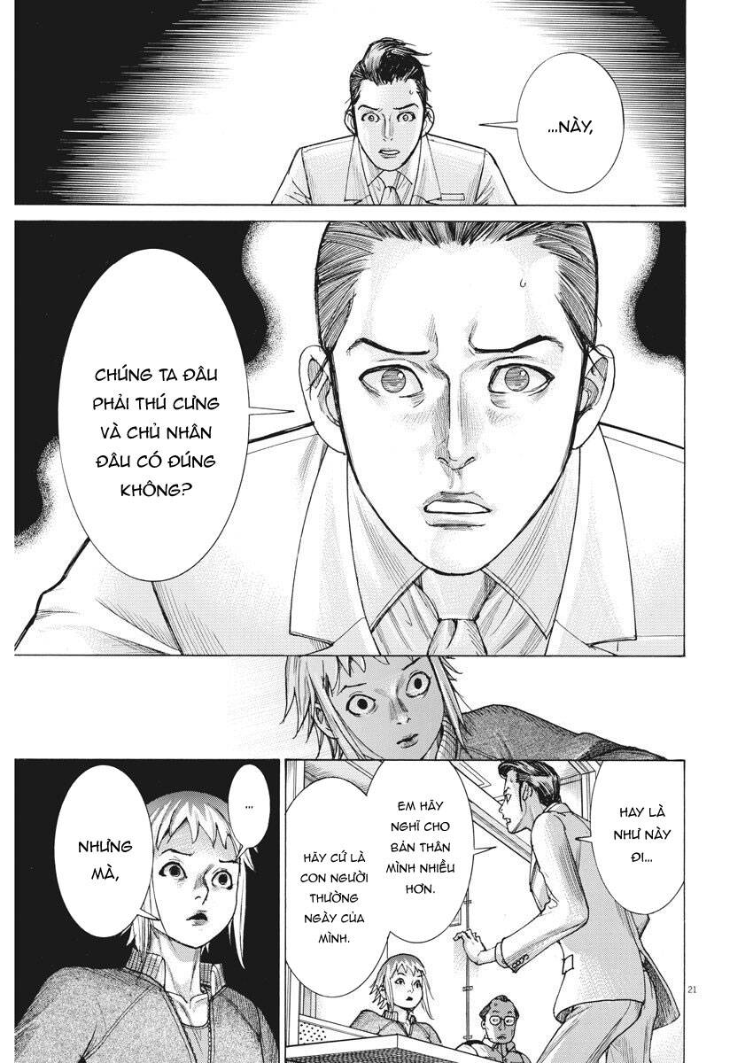 Đám Cưới Của Natsume Arata Chapter 19 - Trang 21