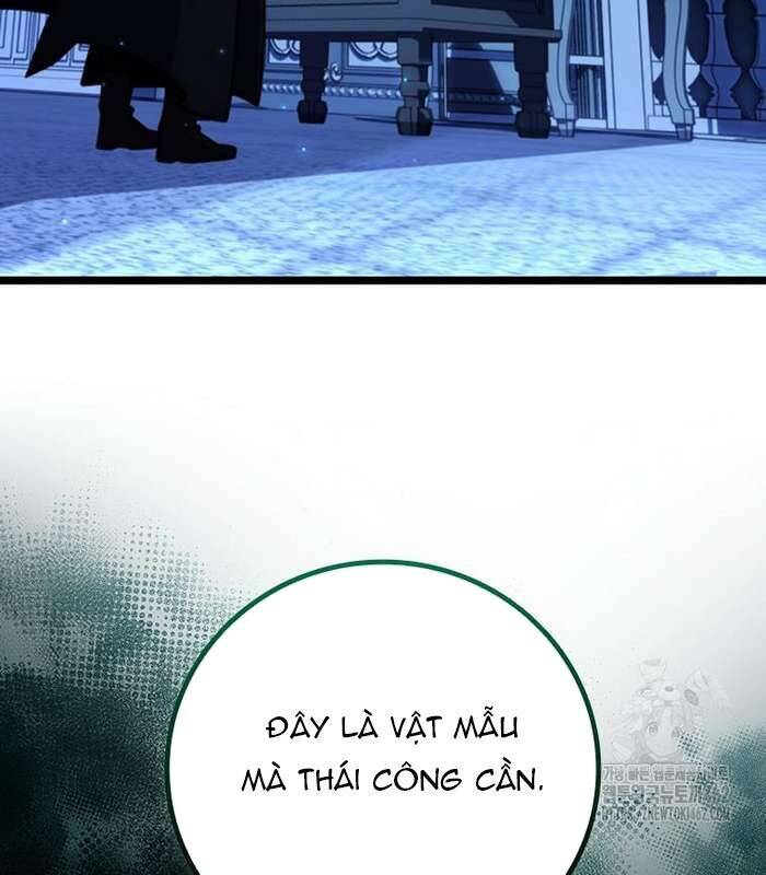 Thực Long Ma Pháp Sư - Chapter 76 - Page 177