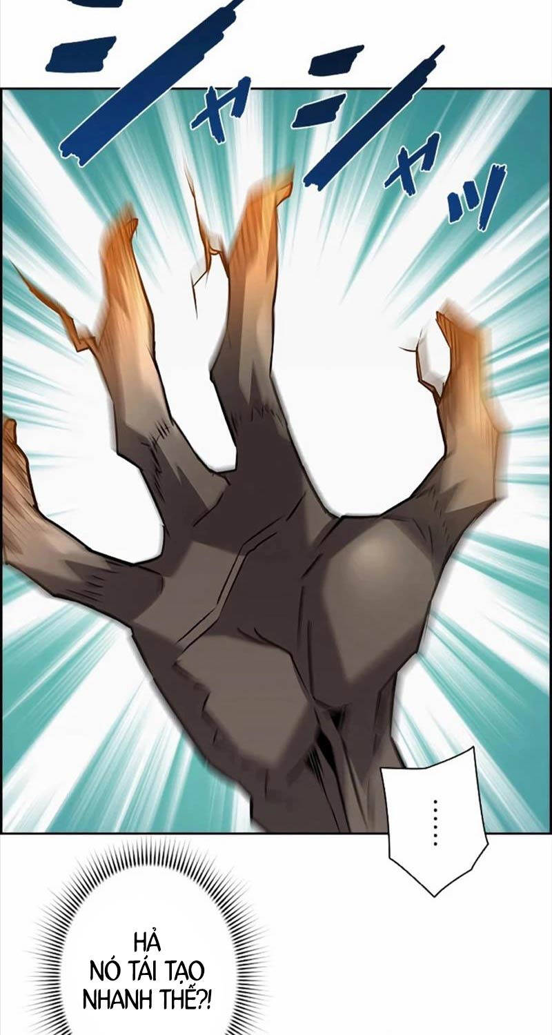 Đặc Tính Tiến Hóa Của Chiêu Hồn Sư - Chapter 62 - Page 46