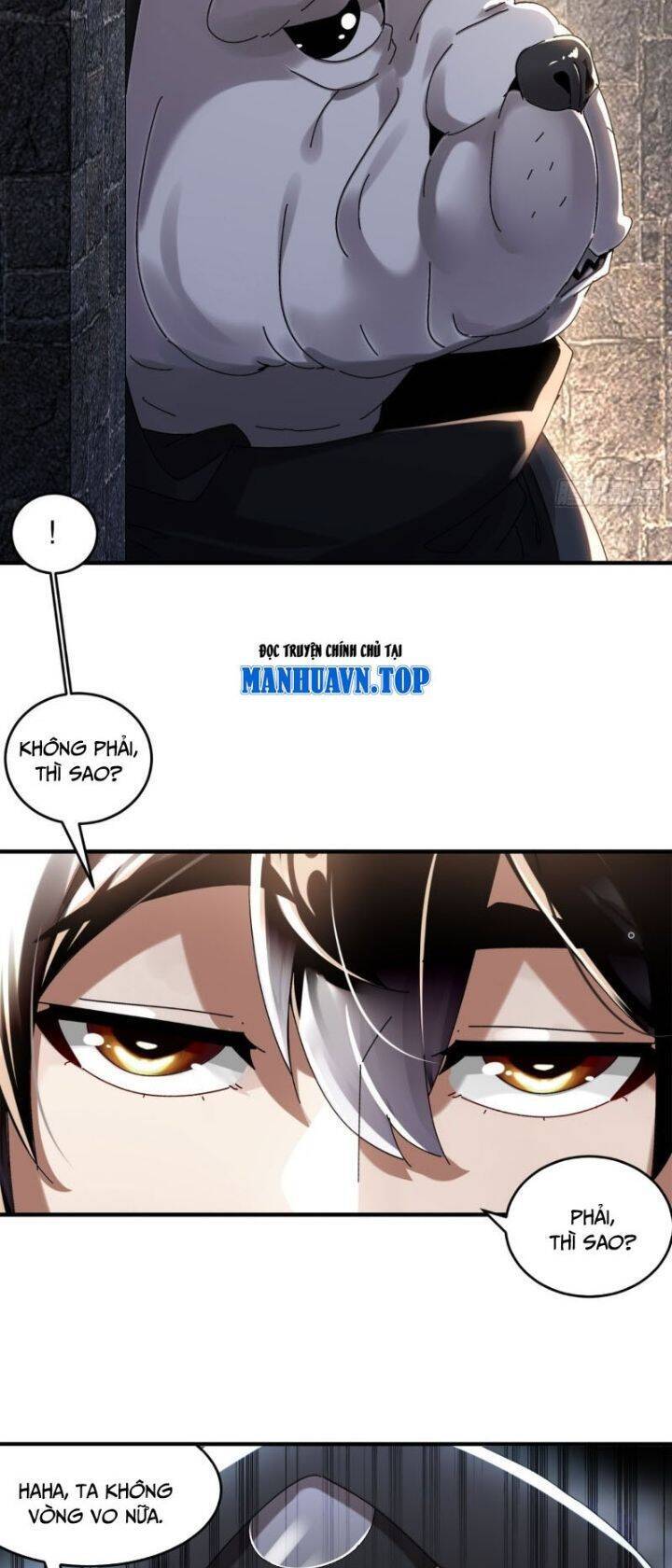 Tuyệt Sắc Đạo Lữ Đều Nói Ngô Hoàng Thể Chất Vô Địch Chapter 283 - Trang 12