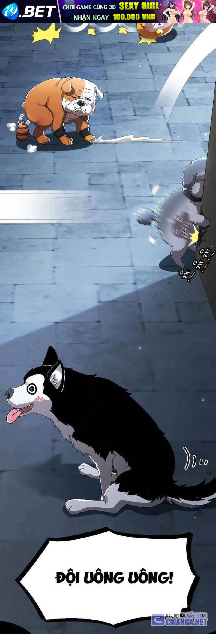 Tuyệt Sắc Đạo Lữ Đều Nói Ngô Hoàng Thể Chất Vô Địch - Chapter 289 - Page 3