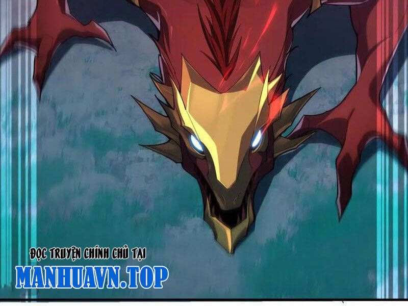 Linh Khí Khôi Phục: Từ Cá Chép Tiến Hoá Thành Thần Long - Chapter 17 - Page 13