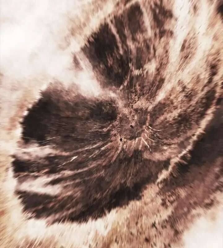 Bất Bại Chân Ma - Chapter 187 - Page 105