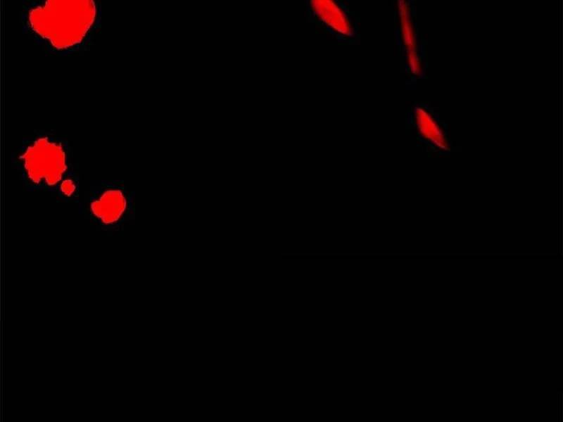 Trọng Sinh Không Làm Chạn Vương Tôi Một Mình Nạp Game Thăng Cấp - Chapter 121 - Page 17