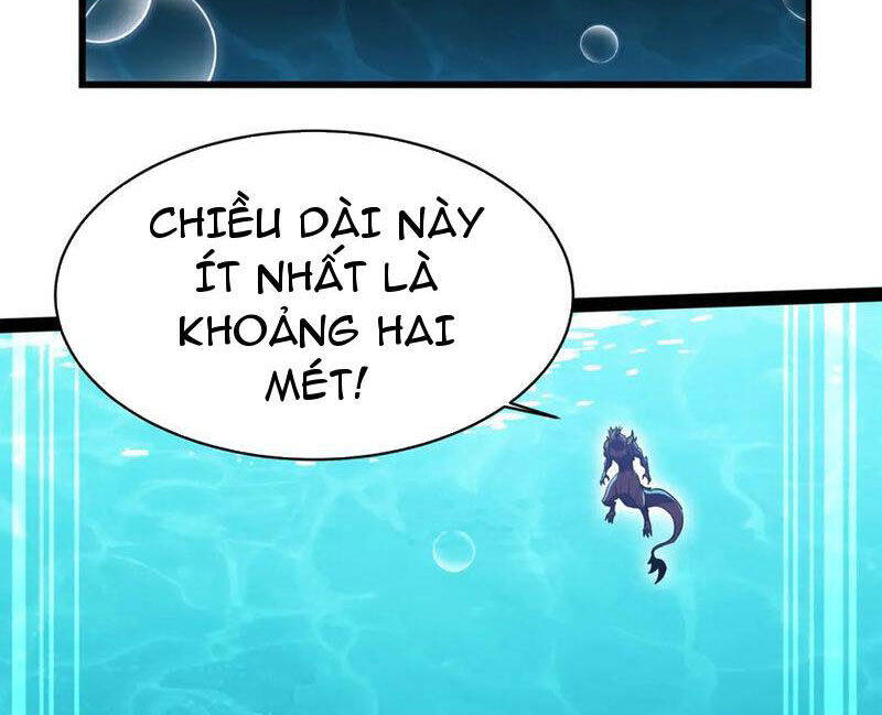 Linh Khí Khôi Phục: Từ Cá Chép Tiến Hoá Thành Thần Long - Chapter 20 - Page 43