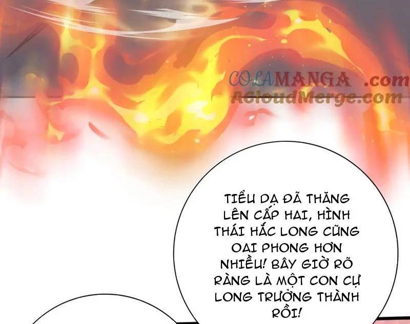 Toàn Dân Chuyển Chức Ngự Long Sư Là Chức Nghiệp Yếu Nhất - Chapter 57 - Page 17