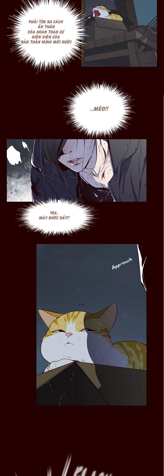 Hoá Thân Thành Mèo - Chapter 1 - Page 3