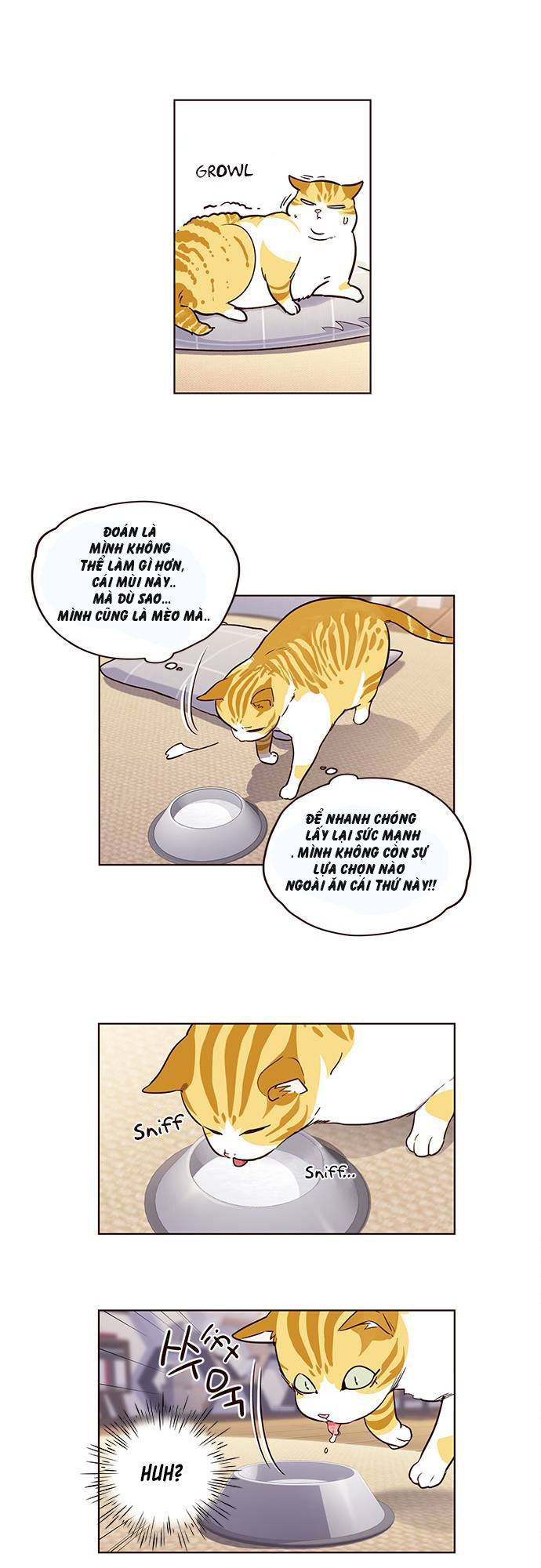 Hoá Thân Thành Mèo - Chapter 1 - Page 34