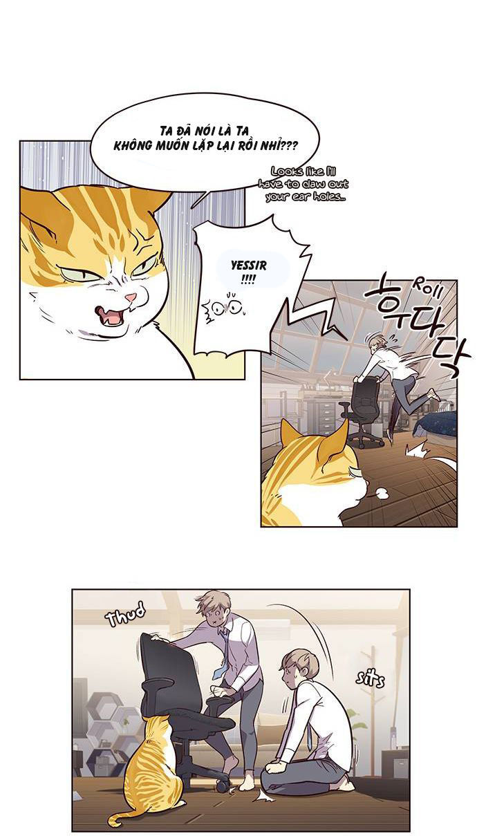 Hoá Thân Thành Mèo - Chapter 1 - Page 41
